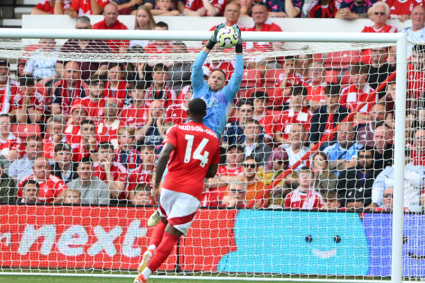 应和果断出 应和果断出