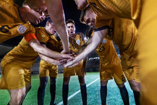 夕尤为常见 夕尤为常见